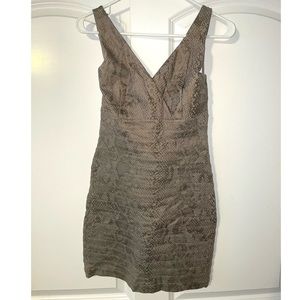 Express Snakeskin Dress